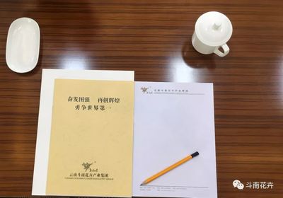 构建标准化会务服务体系，铸就卓越宾客体验